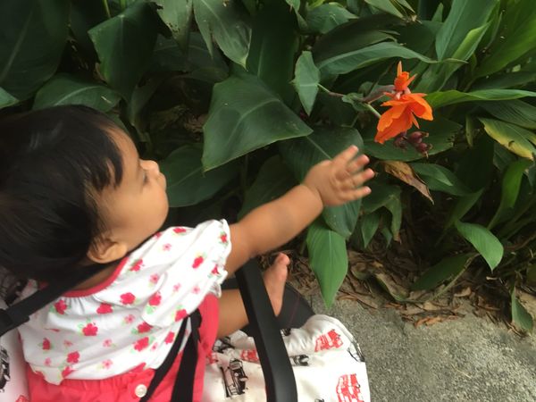 Shaping Spiritual Intelligence in a Baby: Exploring the Plants