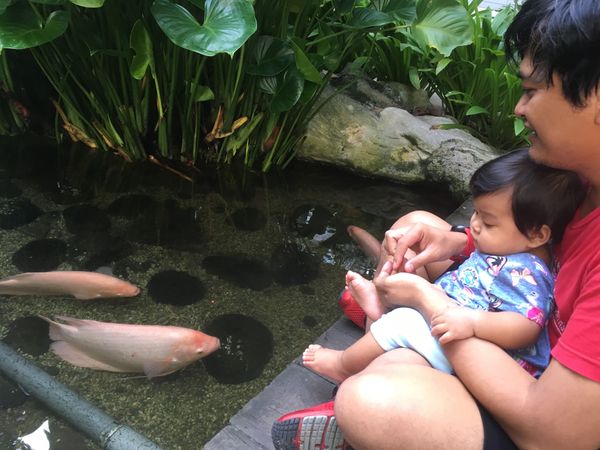 Shaping Spiritual Intelligence in a Baby: Feeding Fishes